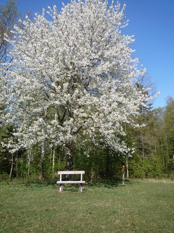 Valle Vandrarhem Axvall Kültér fotó