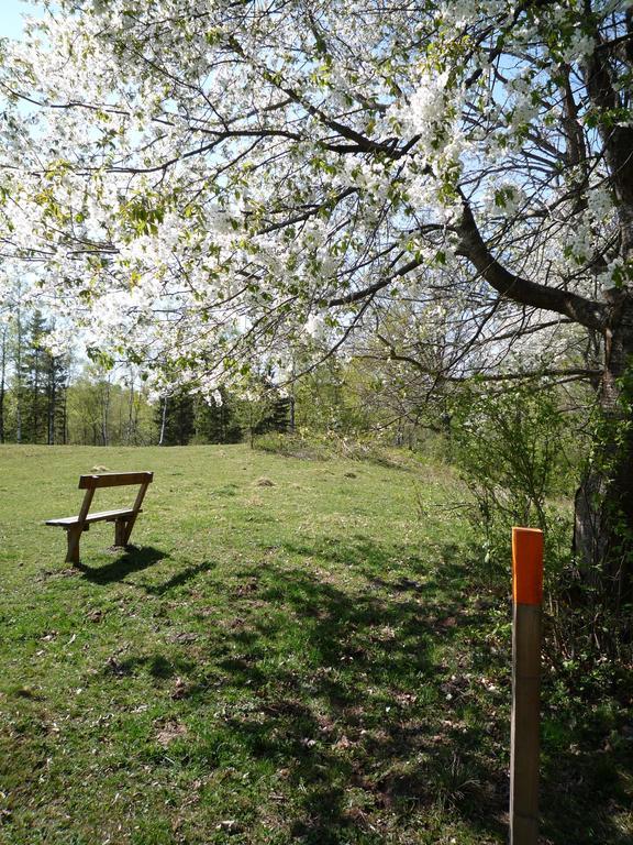 Valle Vandrarhem Axvall Kültér fotó