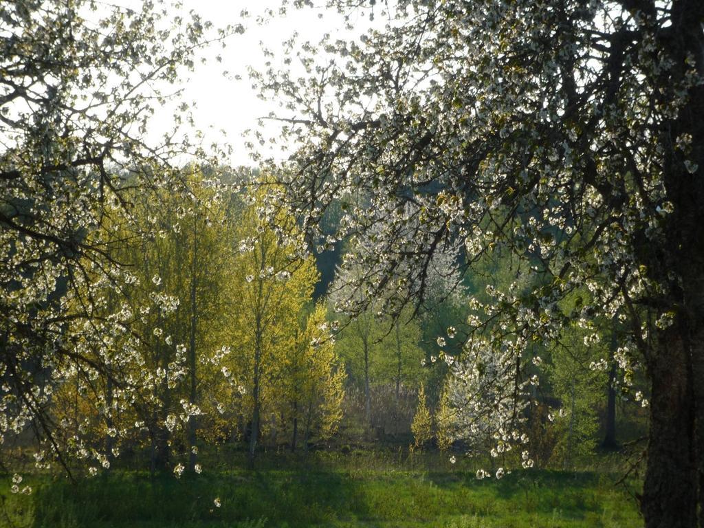 Valle Vandrarhem Axvall Kültér fotó